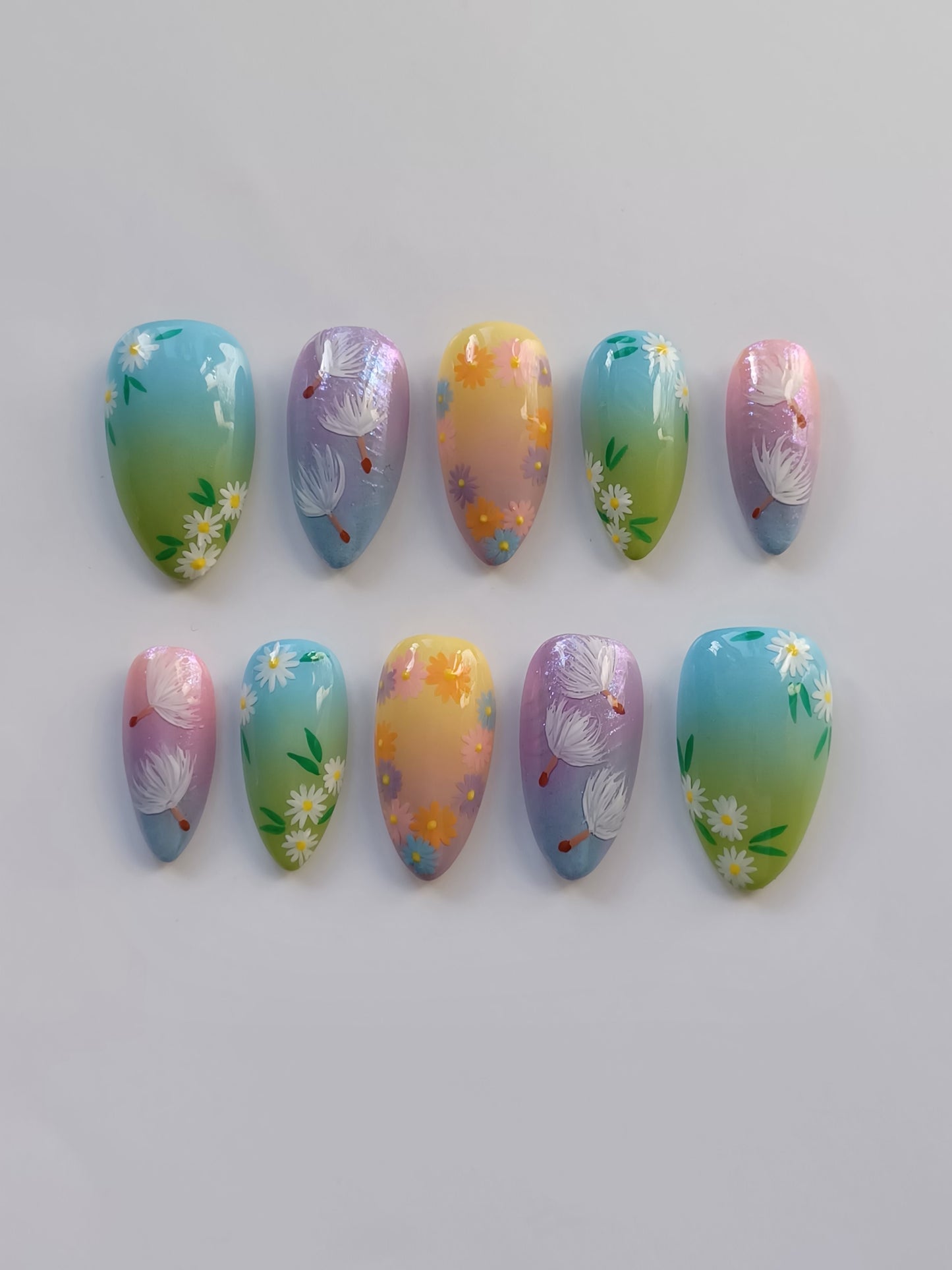 Meadow Blooms
