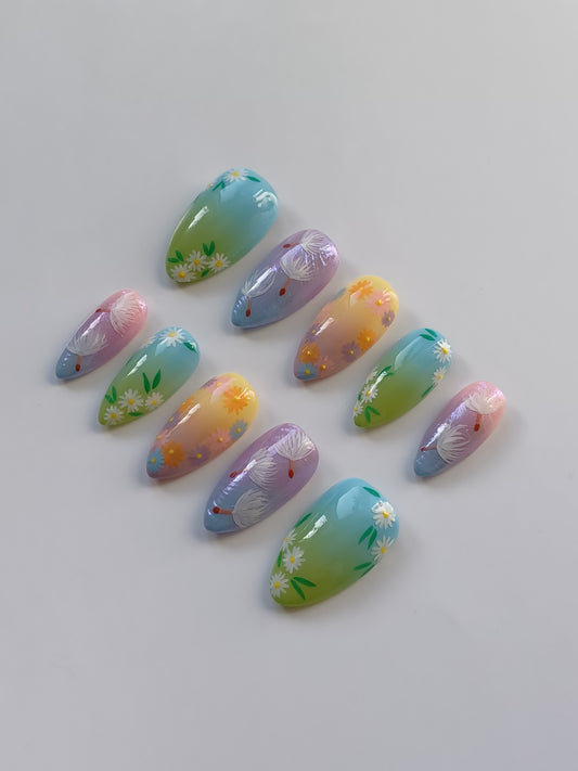 Meadow Blooms